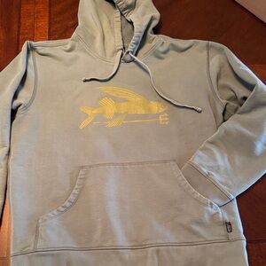 Patagonia Gray/Green Organic Cotton Hoodie